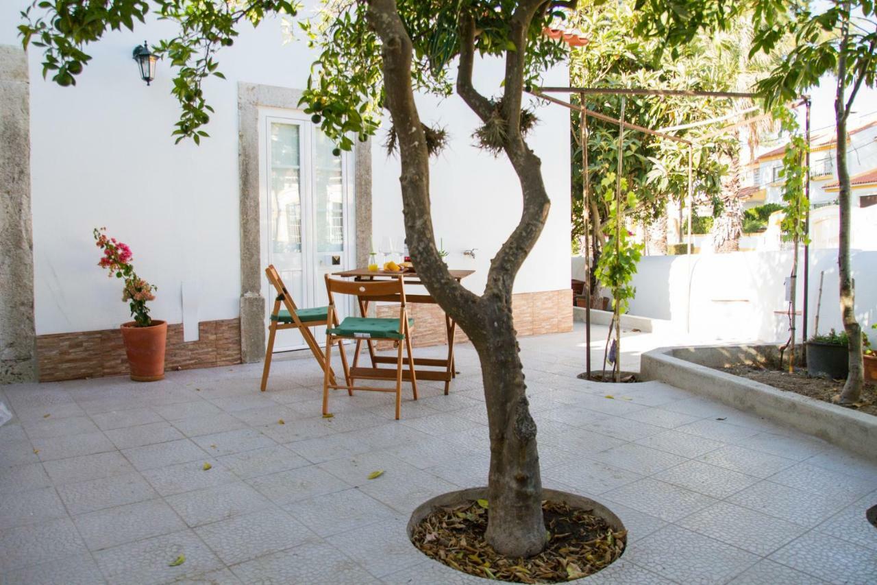 Casa Dos Avos Apartment Azeitao Exterior photo