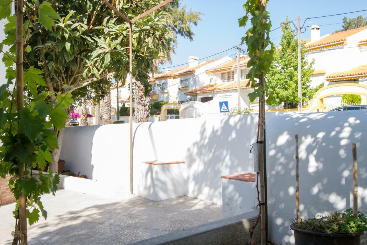 Casa Dos Avos Apartment Azeitao Exterior photo